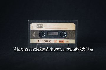 讀懂華致3萬終端網(wǎng)點小B大C開大店荷花大單品