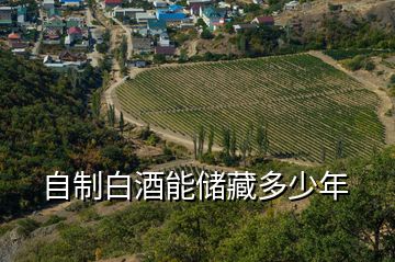 自制白酒能儲藏多少年