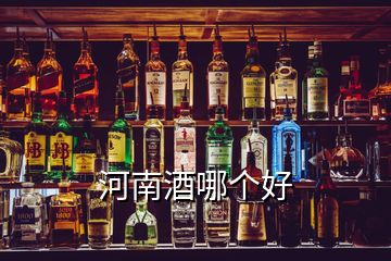 河南酒哪個(gè)好