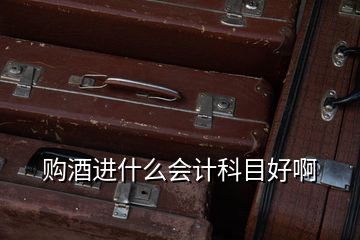購(gòu)酒進(jìn)什么會(huì)計(jì)科目好啊