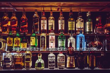 新疆伊犁察布查爾縣一村民田地里的一個(gè)小水坑里出現(xiàn)阿拉伯文的