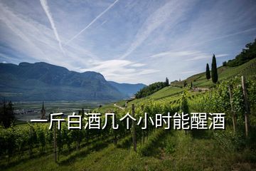 一斤白酒幾個小時能醒酒