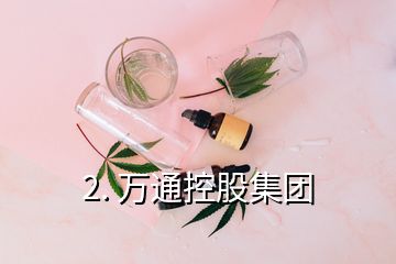 2. 萬通控股集團