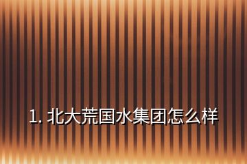 1. 北大荒國水集團怎么樣
