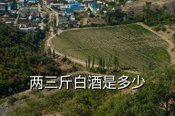 兩三斤白酒是多少
