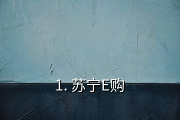 1. 蘇寧E購(gòu)