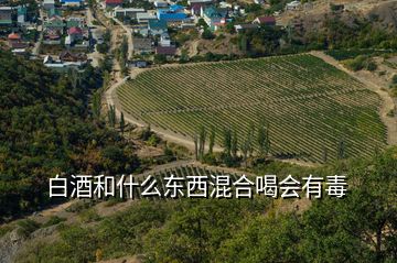 白酒和什么東西混合喝會(huì)有毒
