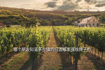 哪個(gè)朋友知道茅臺鎮(zhèn)的白酒哪家強(qiáng)啥牌子的