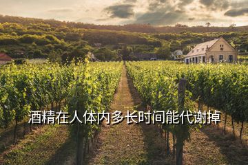 酒精在人體內(nèi)多長時(shí)間能代謝掉