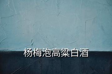 楊梅泡高粱白酒