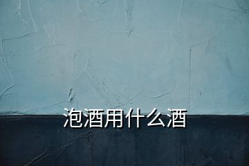 泡酒用什么酒
