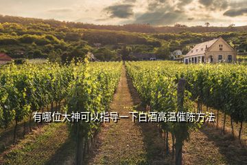有哪位大神可以指導(dǎo)一下白酒高溫催陳方法