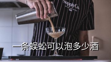 一條蜈蚣可以泡多少酒