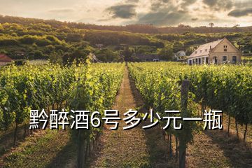 黔醉酒6號(hào)多少元一瓶