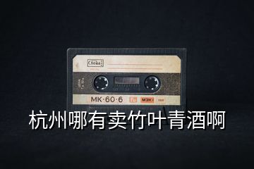 杭州哪有賣竹葉青酒啊