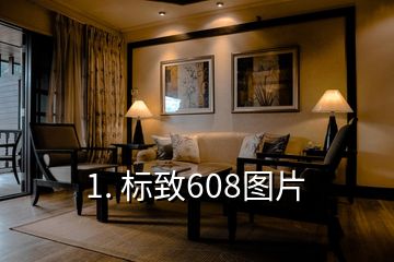 1. 標致608圖片
