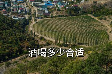 酒喝多少合適