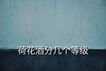 荷花酒分幾個等級