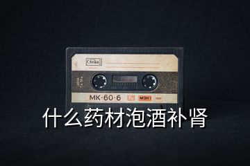 什么藥材泡酒補腎