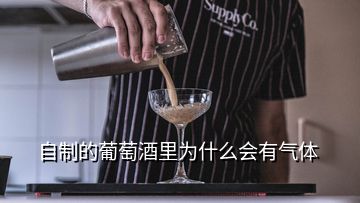 自制的葡萄酒里為什么會有氣體
