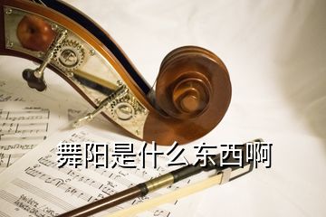 舞陽是什么東西啊