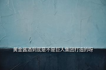 黃金醬酒到底是不是巨人集團打造的呀