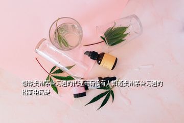 想做貴州茅臺習酒的代理商有沒有人知道貴州茅臺習酒的招商電話是