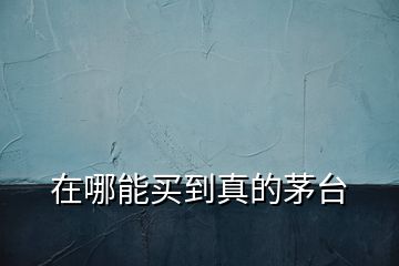 在哪能買到真的茅臺