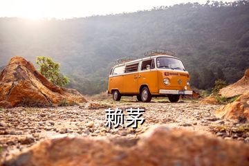 賴茅