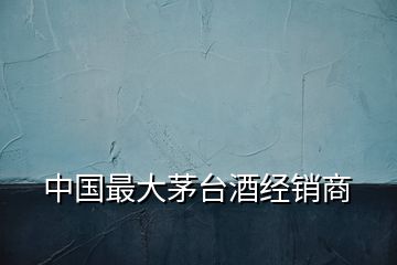 中國(guó)最大茅臺(tái)酒經(jīng)銷商