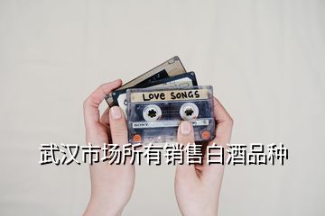 武漢市場(chǎng)所有銷售白酒品種