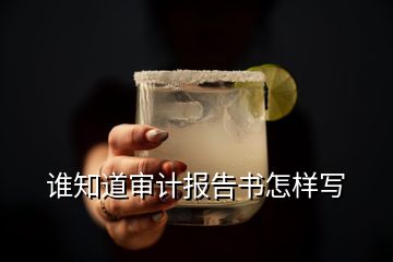 誰知道審計(jì)報(bào)告書怎樣寫