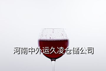 河南中外運久凌倉儲公司