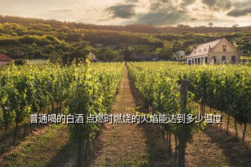 普通喝的白酒 點(diǎn)燃時(shí)燃燒的火焰能達(dá)到多少溫度