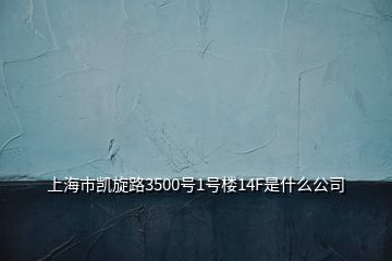 上海市凱旋路3500號(hào)1號(hào)樓14F是什么公司
