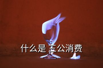 什么是 三公消費
