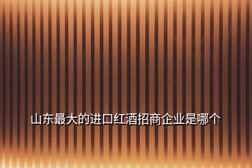 山東最大的進(jìn)口紅酒招商企業(yè)是哪個
