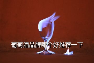 葡萄酒品牌哪個好推薦一下