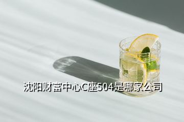 沈陽財富中心C座504是哪家公司