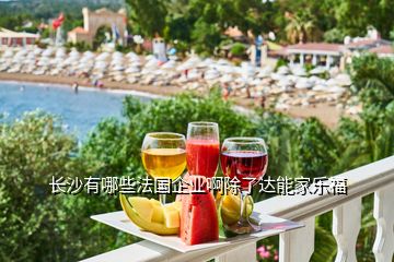 長(zhǎng)沙有哪些法國(guó)企業(yè)啊除了達(dá)能家樂福