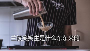蘭陵笑笑生是什么東東來(lái)的