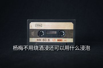 楊梅不用燒酒浸還可以用什么浸泡