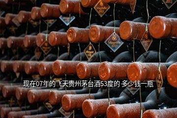 現(xiàn)在07年的飛天貴州茅臺(tái)酒53度的 多少錢(qián)一瓶
