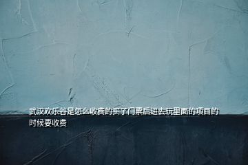 武漢歡樂谷是怎么收費(fèi)的買了門票后進(jìn)去玩里面的項目的時候要收費(fèi)
