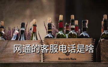 網(wǎng)通的客服電話(huà)是啥