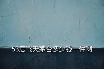 53度飛天茅臺(tái)多少錢一件啊