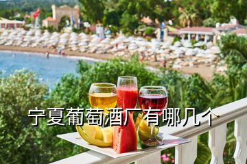 寧夏葡萄酒廠有哪幾個