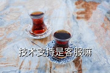 技術(shù)支持是客服嘛