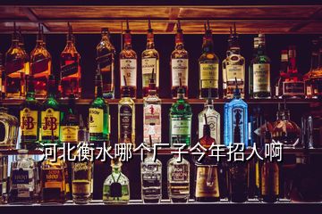 河北衡水哪個廠子今年招人啊