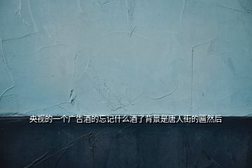 央視的一個廣告酒的忘記什么酒了背景是唐人街的匾然后